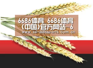 6686体育_6686体育 (中国)官方网站-6686SPORTS